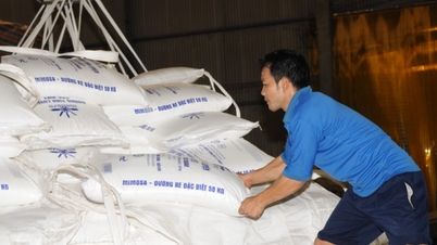Tháng 10, Ấn Độ sẽ xem xét lại lệnh hạn chế xuất khẩu đường