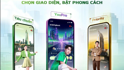 Vietcombank officially launches the brand new VCB Digibank