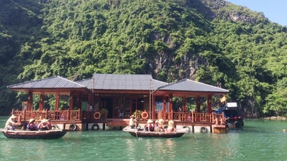 Trung tâm văn hóa nổi Cửa Vạn tạm dừng đón khách từ 25-4