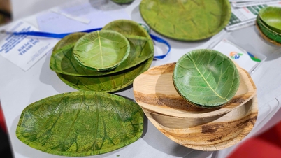 ចានពិសេសធ្វើពីស្លឹក
