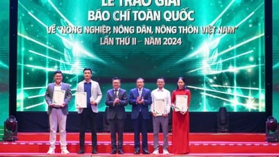 ពិធីប្រគល់ពានរង្វាន់សារព័ត៌មានជាតិលើកទី២ ស្តីពីកសិកម្ម កសិករ និងជនបទវៀតណាមឆ្នាំ២០២៤