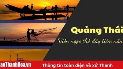 ត្បូងថ្មដ៏មានសក្ដានុពលមួយកំពុងរង់ចាំអ្នកទស្សនារកឃើញ