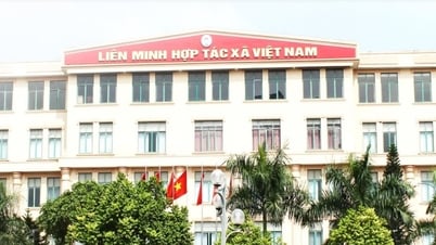 Đề nghị Ban Bí thư xem xét kỷ luật Đảng đoàn Liên minh Hợp tác xã Việt Nam