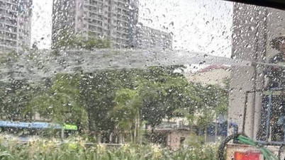 Hanoi Department of Construction checks information about workers watering plants in pouring rain