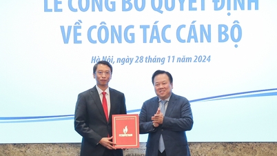 Mr. Tran Hong Nam was appointed as a member of the Board of Directors of Petrovietnam.