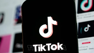 ByteDance và TikTok yêu cầu Tòa phúc thẩm Mỹ hoãn thi hành lệnh cấm