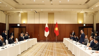 Chủ tịch nước tiếp Thống đốc tỉnh Fukuoka, lãnh đạo địa phương khu vực Kyushu
