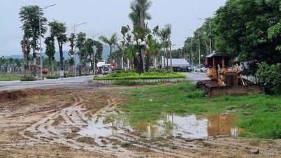 Phê duyệt giá đất giao đợt 1 dự án BT Hải Hòa