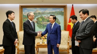 Phó Thủ tướng Trần Hồng Hà tiếp lãnh đạo Tập đoàn PowerChina