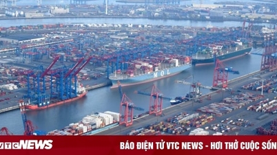 EU announces new import control system