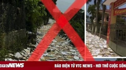 Thực hư chuyện mang sách phơi kín hai bên đường trước cổng trường