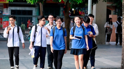 Định hướng nghề nghiệp: Cách nào hiệu quả?