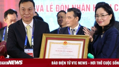 VFF ទទួលបានមេដាយការងារថ្នាក់ទីបី