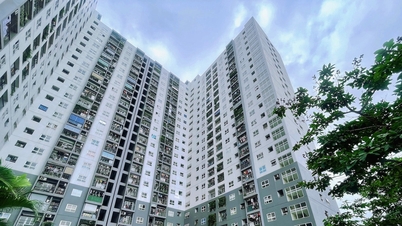 Bộ trưởng Tài chính: Nghiên cứu chuyển đổi nhà tái định cư sang nhà ở xã hội