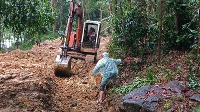 Vết nứt dài 30m trên đỉnh đồi, Quảng Nam sơ tán khẩn cấp 163 người