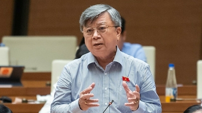 'It is unscientific if the State has to buy back ineffective PPP projects'