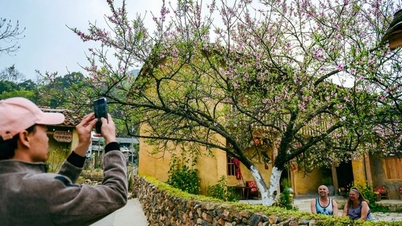 Người nước ngoài ở Việt Nam: Du khách đừng bỏ lỡ những nơi này...