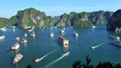 TripAdvisor's trending destinations worldwide include Ha Long Bay and Sa Pa