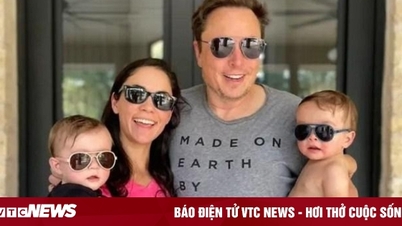 Elon Musk wants to build a secret house for his girlfriends and 11 children