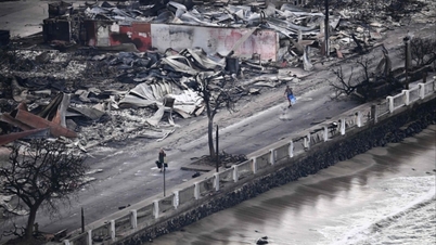 Survivors tell of looting in Hawaii wildfire disaster