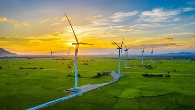 Famous wind turbine fields in Vietnam you must visit once