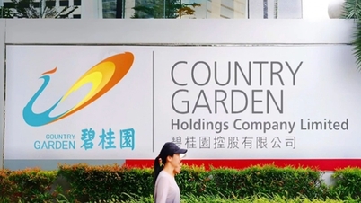 Country Garden អាច​ជៀស​ផុត​ពី​ការ​កំណត់​លំនាំដើម​នៃ​សញ្ញាប័ណ្ណ
