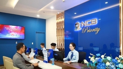 Gửi tiền ngân hàng nào lãi cao nhất?