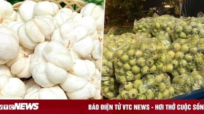 តម្លៃ​មង្ឃុត​បៃតង​កើនឡើង​ជាង​កន្លះ​លាន​ដុង​ក្នុង​មួយ​គីឡូក្រាម ដោយសារ​ម្ហូប​សាឡាដ 'ក្តៅ'