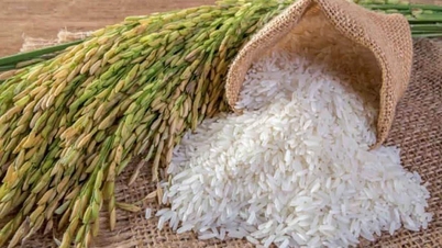 After India and Myanmar's moves, Vietnamese rice prices hit new highs