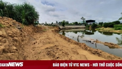 Occupying more than 6,000m2 of land, a business in Quang Nam was fined 80 million VND.