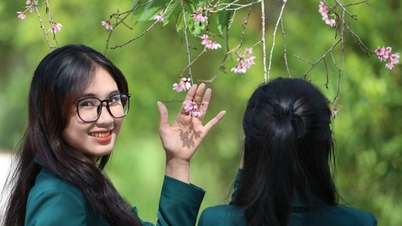 ការអប់រំគណិតវិទ្យាខ្ពស់បំផុត