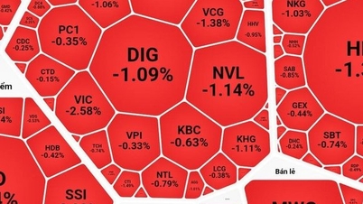 Sắc đỏ bao trùm, đột biến tại nhóm ngân hàng