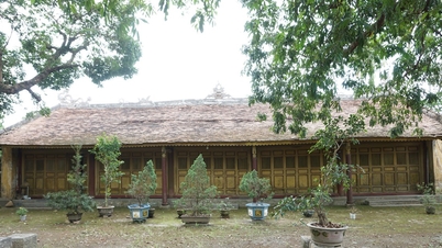 “Tiếp sức” cho nhà vườn cổ xứ Huế