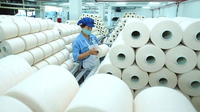 Tận dụng Hiệp định CPTPP, dệt may tăng xuất khẩu sang thị trường mới