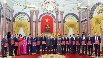 ប្រធានរដ្ឋលោក Vo Van Thuong បង្ហាញសេចក្តីសម្រេចចំពោះប្រធានទីភ្នាក់ងារតំណាងវៀតណាមនៅបរទេសសម្រាប់អាណត្តិ ២០២៤ - ២០២៧។