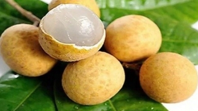 តើផ្លែឈើ និងបន្លែអ្វីខ្លះដែលអ្នកគួរញ៉ាំក្នុងរដូវស្លឹកឈើជ្រុះ ដើម្បីបង្កើនប្រព័ន្ធភាពស៊ាំរបស់អ្នក?