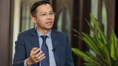 Định hướng phát triển mô hình ngân hàng xanh của CEO MB