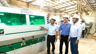 Da Nang stärkt Pilotprojekte für sauberere Produktionsmodelle in der Industrie