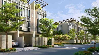 ស្វែងយល់ពី The Canopy Clubhouse - គ្រឿងបរិក្ខារដែលលើកកំពស់របៀបរស់នៅរមណីយដ្ឋានរបស់អ្នក។