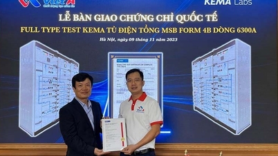 Việt Á công bố đạt chứng nhận Kema Type Test cho dòng tủ điện hạ thế