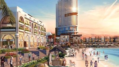 'Một điểm chạm, vạn tinh hoa' đặc quyền cho chủ nhân danh giá tại Meliá Nha Trang