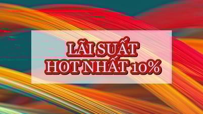 Thưởng Tết nhiều, gửi ngân hàng nào lãi cao nhất