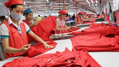 Vietnam - US economic and trade cooperation mechanism to be effective in 2024