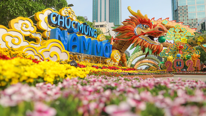 Diện mạo đường hoa Nguyễn Huệ trước ngày mở cửa