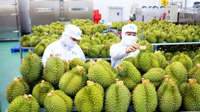 Cơ hội và thách thức khi xuất khẩu rau củ quả chính ngạch sang thị trường Trung Quốc