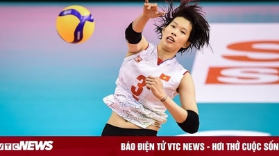 Xem trực tiếp Việt Nam vs Hàn Quốc bóng chuyền nữ ASIAD 19 trên kênh nào?