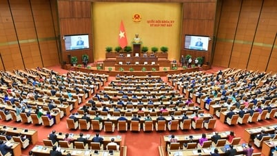 Transmisión en vivo de la 7ª Sesión de la 15ª Asamblea Nacional: Asamblea Nacional discute la Ley de Carreteras