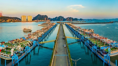 Du khách tham quan vịnh Hạ Long