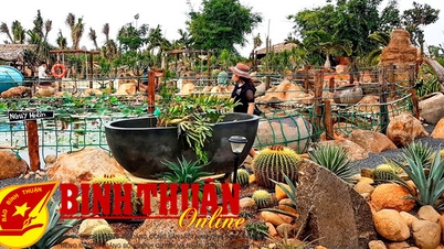 មាន "សារមន្ទីរដើមត្រសក់" នៅ Thien Nghiep