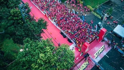 10.000 vận động viên tham gia giải marathon Đồng Tháp 2024